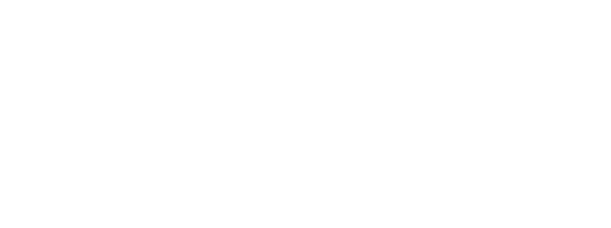 Logo 9